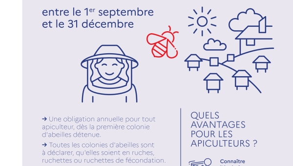 Apiculture - déclaration de ruches 2025
